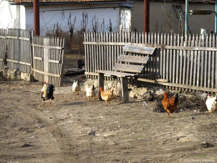 Лозуватка з panoramio.com - Лозуватка