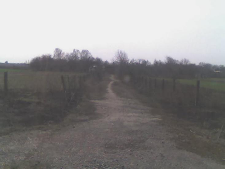 Вересневе з panoramio.com - Вересневе