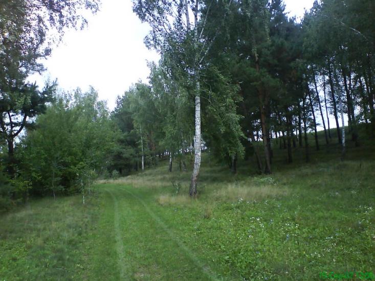 Гранів з panoramio.com - Гранів