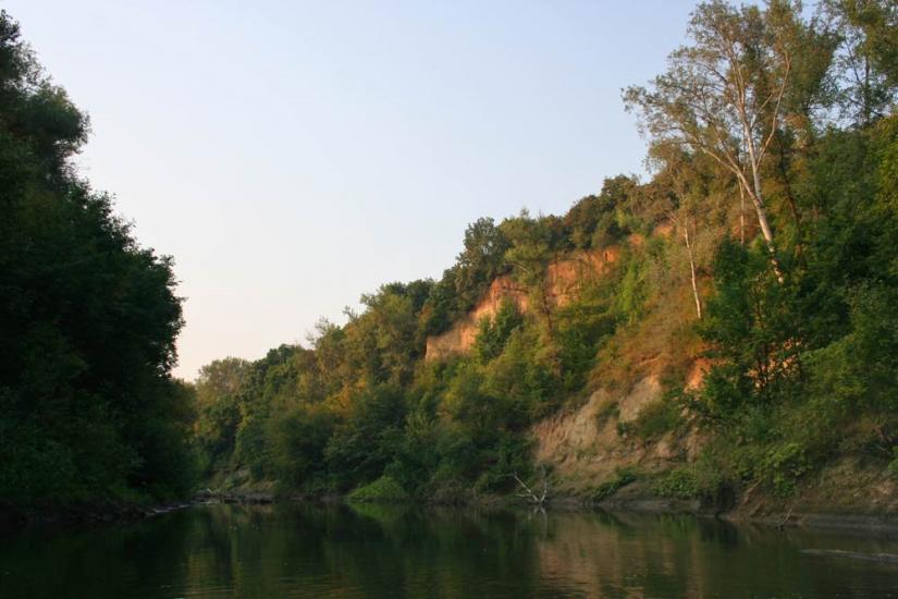 Плавні з panoramio.com - Плавни