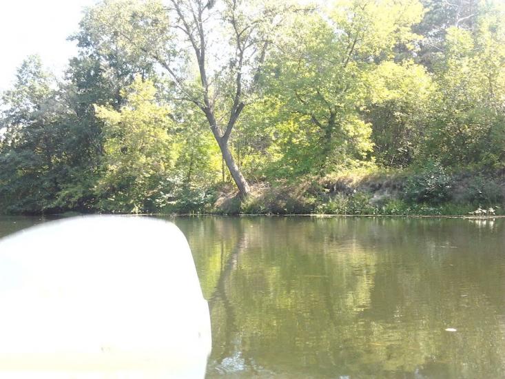 Межиріч з panoramio.com - Межирич