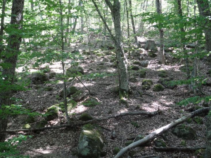 Виноградний з panoramio.com - Vynogradnyy