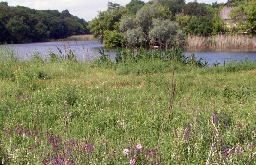 Синельникове з panoramio.com - Синельникове