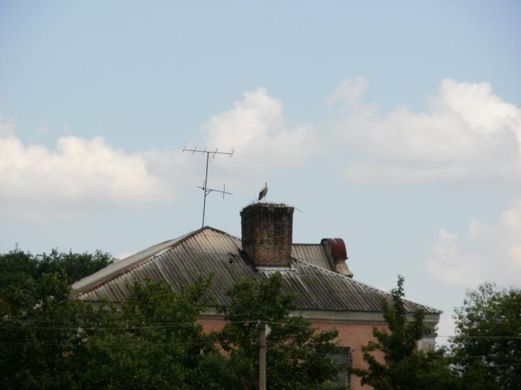 Римачі з panoramio.com - Римачі