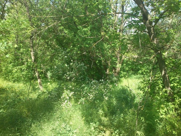 Орджонікідзе з panoramio.com - Орджоникидзе