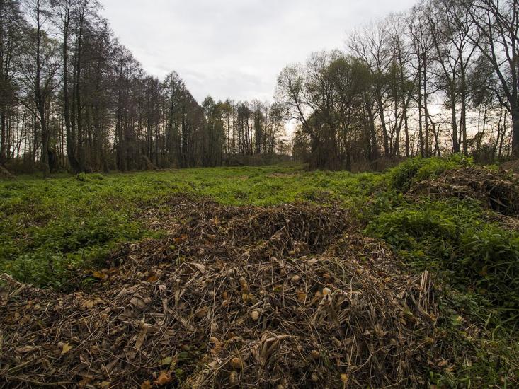 Терехівка з panoramio.com - Терехівка