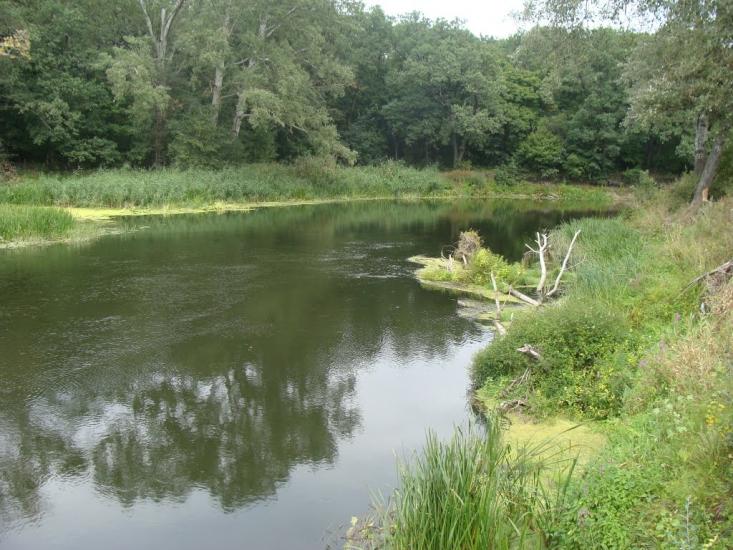 Балаклія з panoramio.com - Балаклея