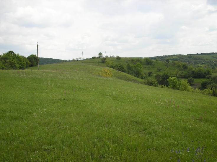 Сунки з panoramio.com - Сунки