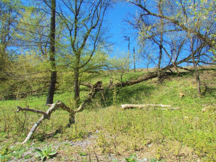Бабаї з panoramio.com - Бабаи