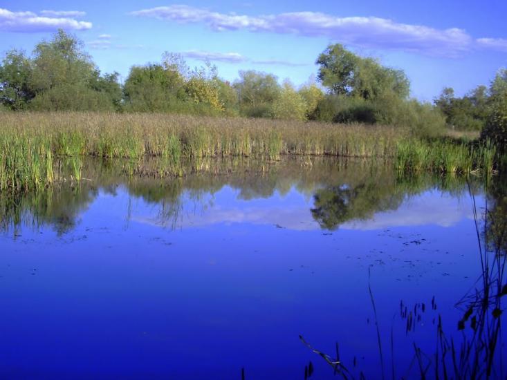 Перехрестя з panoramio.com - Perekhrestya