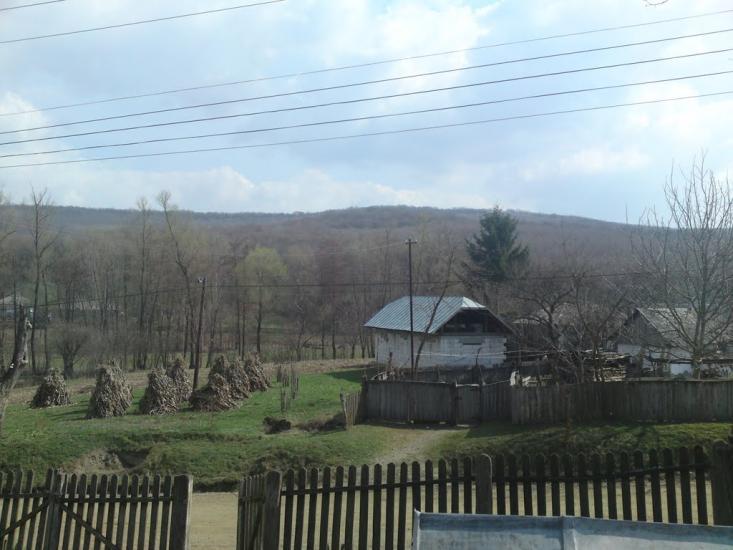 Тарасівці з panoramio.com - Тарасівці