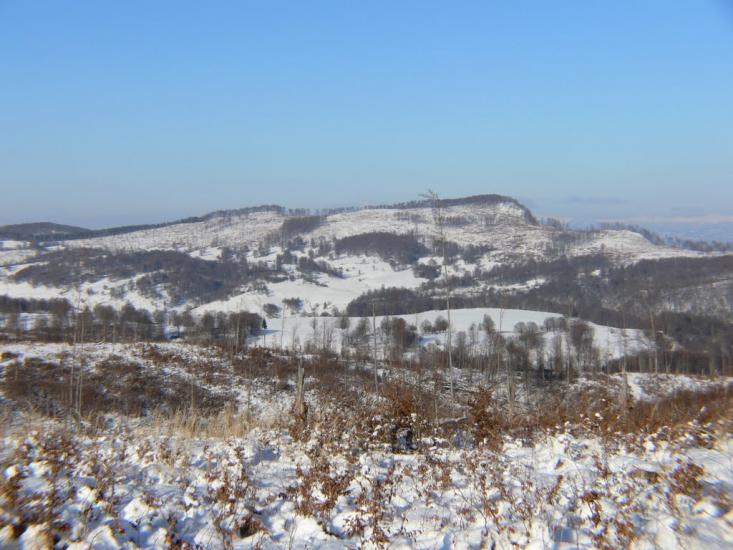 Бедевля з panoramio.com - Бедевля