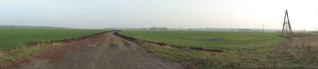 Гвоздиківка з panoramio.com - Гвоздиковка