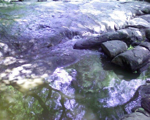 природа - Ягубець