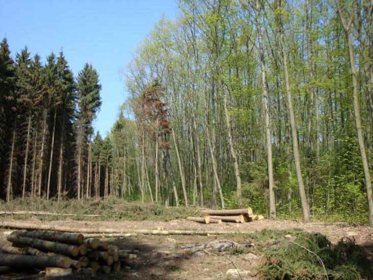 Карпівці з panoramio.com - Карпівці