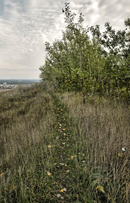 Старі Безрадичі з panoramio.com - Старые Безрадичи