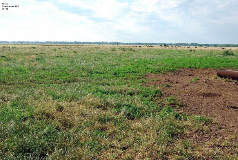 Устивиця з panoramio.com - Устивиця