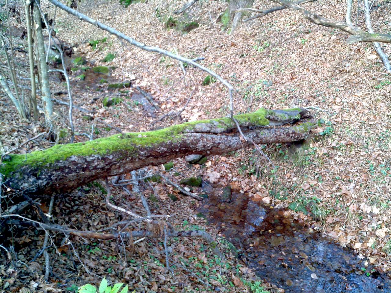 Городище - Городец