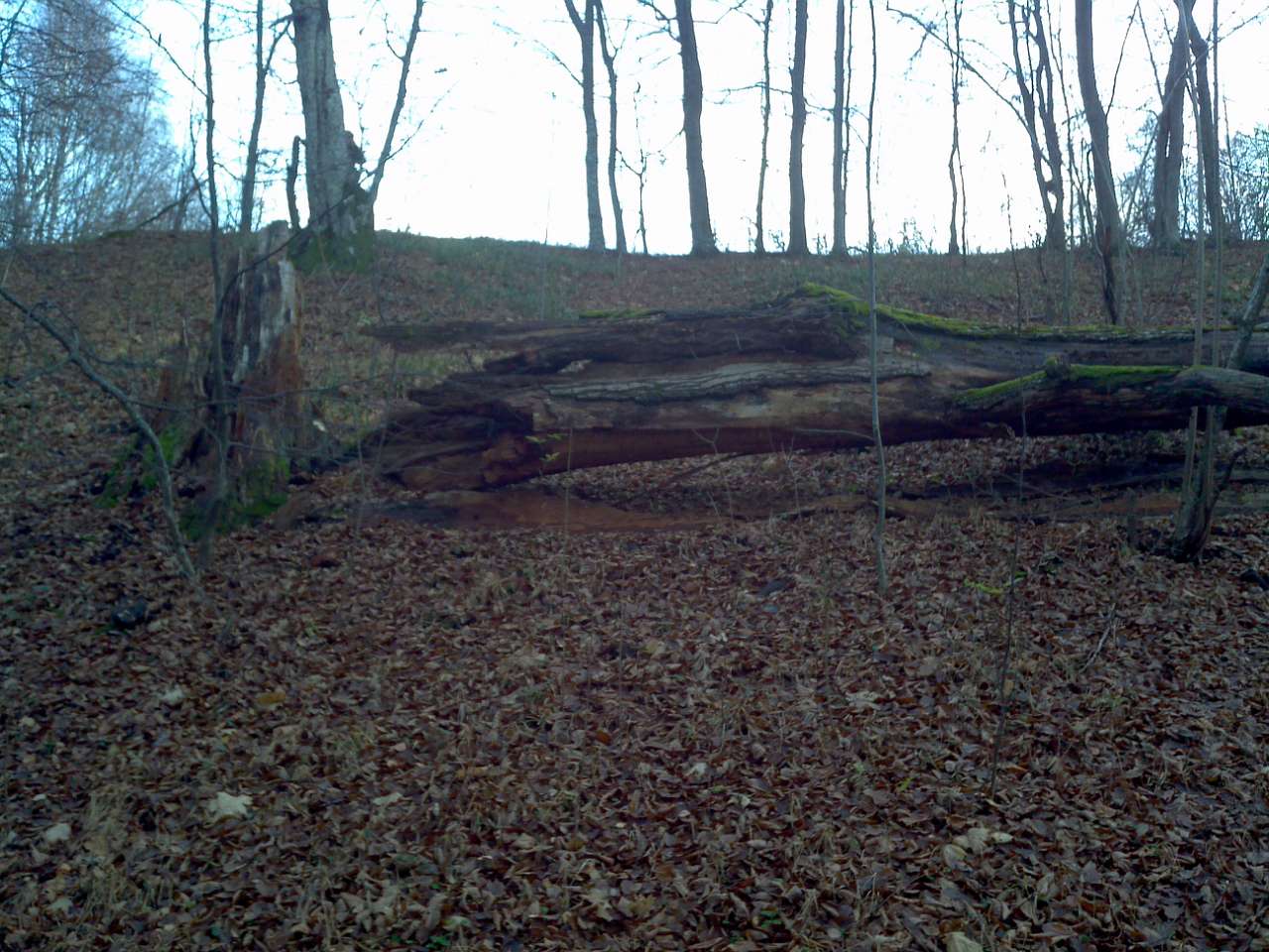 Городище - Городец