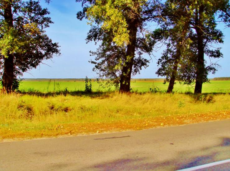 Димер з panoramio.com - Dymer