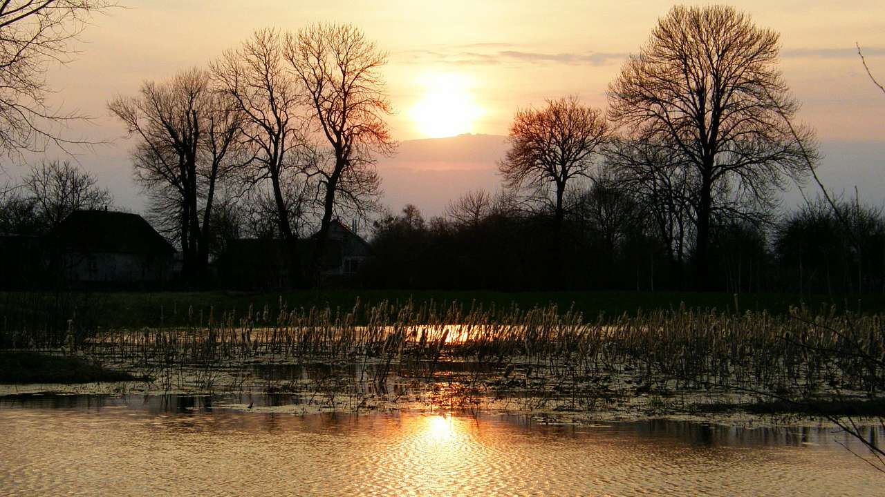 Вереси, які вони є... - Вереси