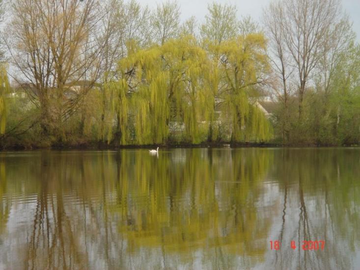 Локачі з panoramio.com - Локачі