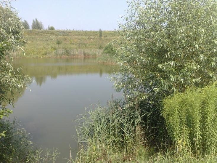 Ясногородка з panoramio.com - Ясногородка