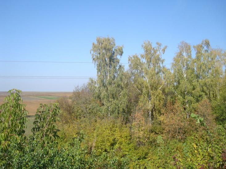 Кутківці з panoramio.com - Кутковцы