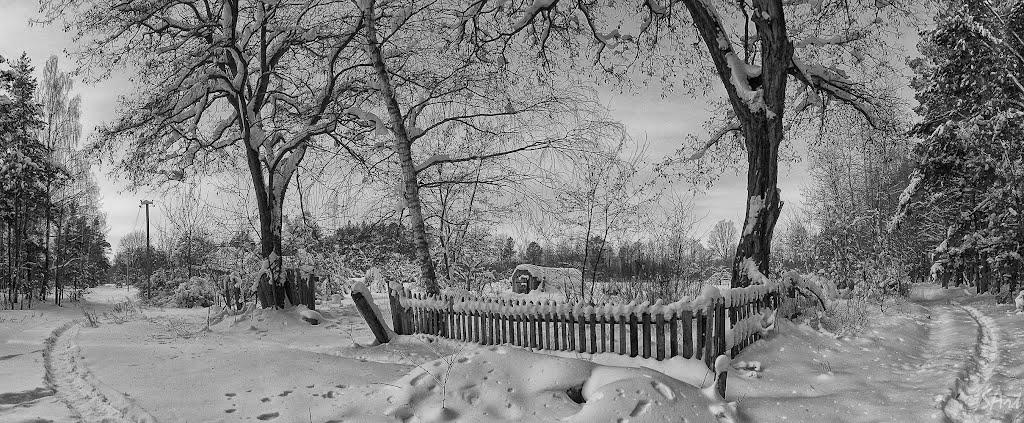 Грибова Рудня з panoramio.com - Грибова Рудня
