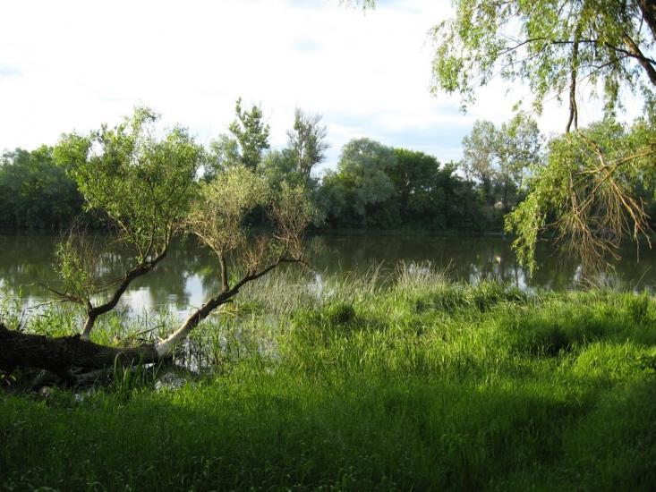 Жовте з panoramio.com - Желтое