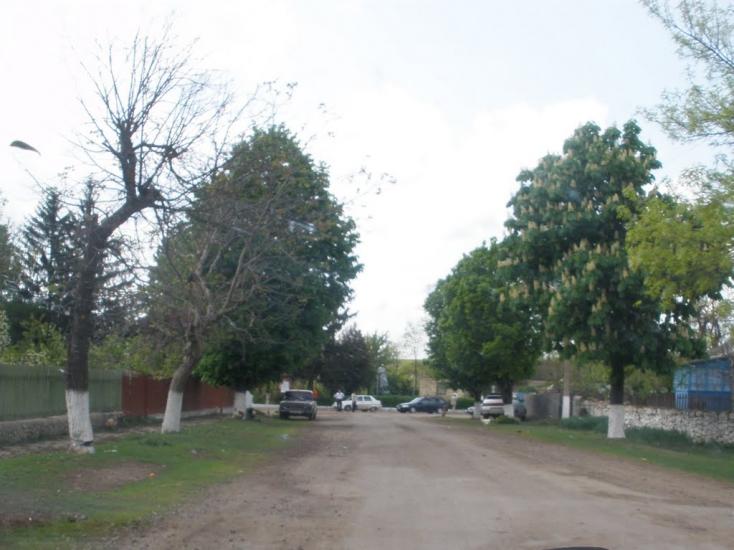 Володіївці з panoramio.com - Володиевцы