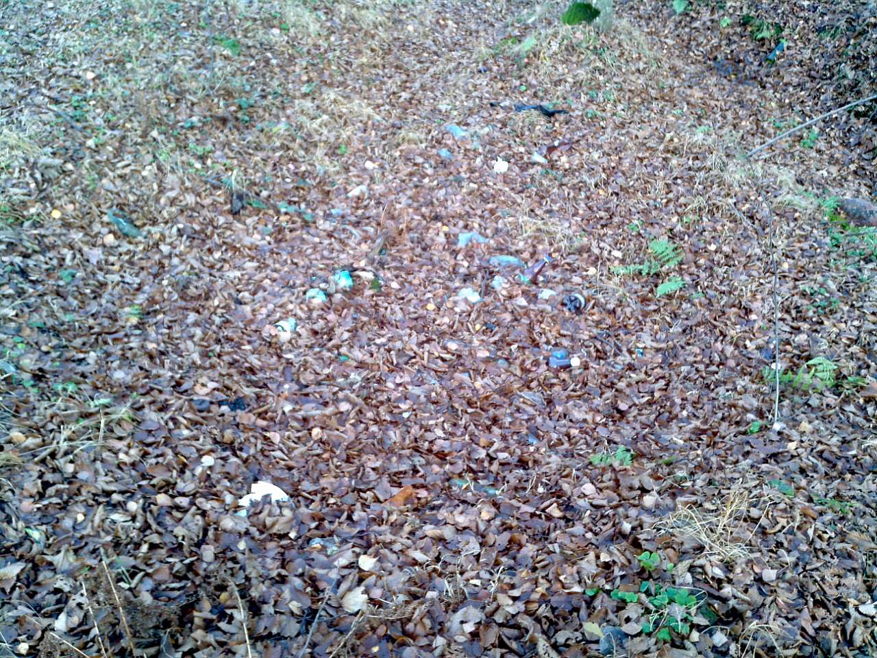 Здесь был чЕЛОВЕК - Городец