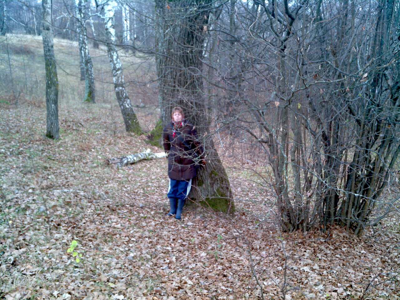 Городище - Городец