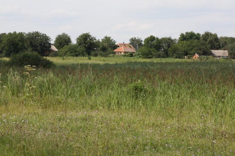 Піски-Удайські з panoramio.com - Пески-Удайские