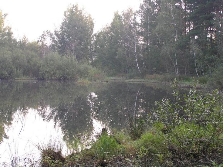 Грем'яче з panoramio.com - Грем'яче