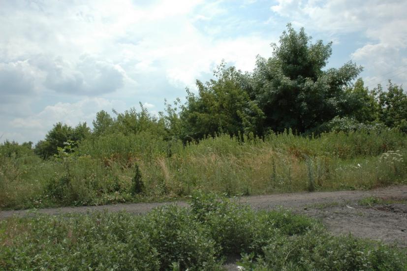 Щотове з panoramio.com - Щотове