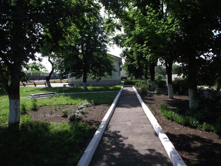 Новогродівка з panoramio.com - Новогродовка