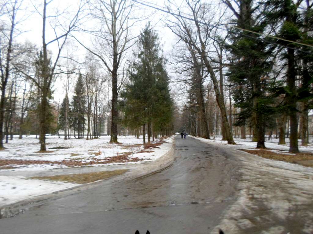 Парки - Моршин