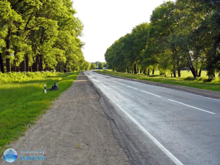 Голубці з panoramio.com - Голубці