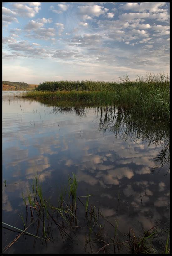 Липці з panoramio.com - Липцы