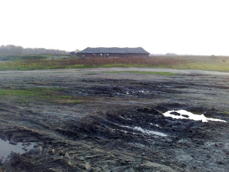 Дунайське з panoramio.com (ч.2) - Дунайське
