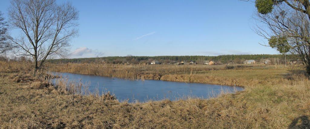 Бірки з panoramio.com - Бирки