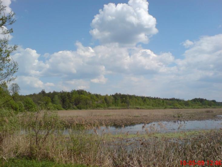 Кушкине з panoramio.com - Кушкино