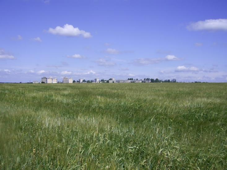 Новопетрівка з panoramio.com - Новопетровка