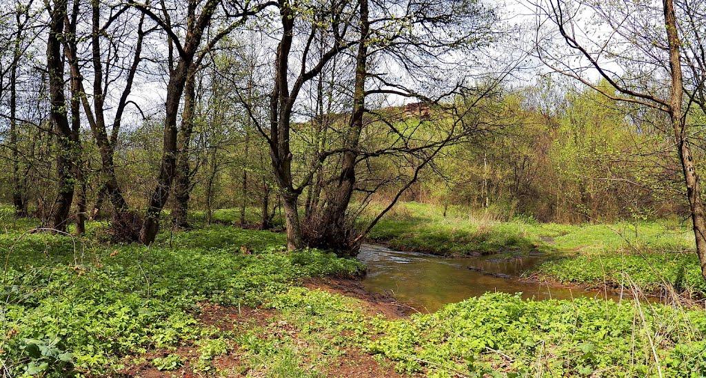 Ольховатка з panoramio.com - Olkhovatka