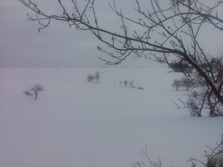 Мартинівка з panoramio.com - Мартыновка