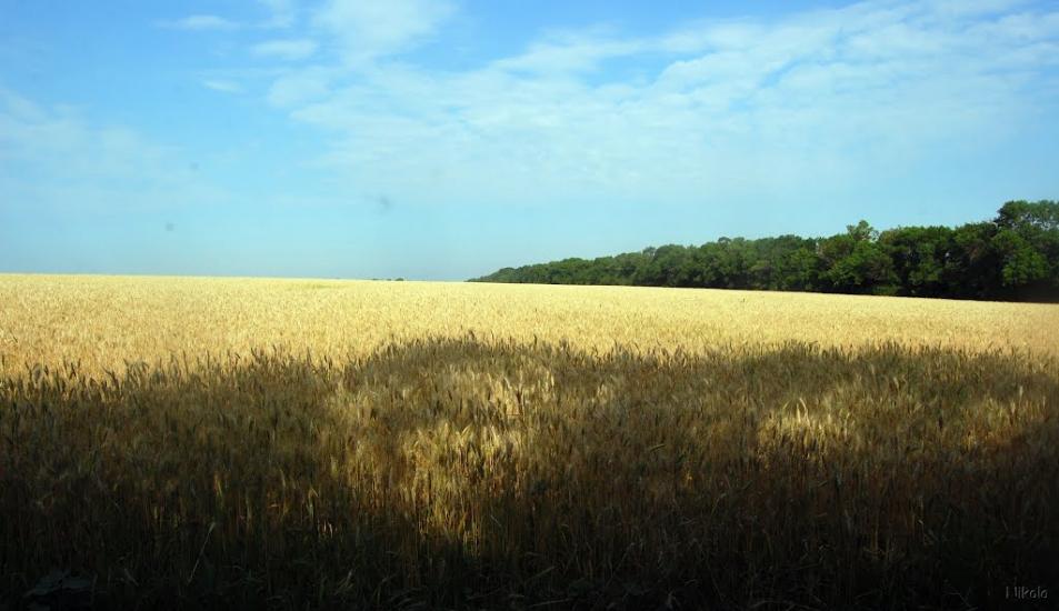 Булгаківка з panoramio.com - Булгаковка