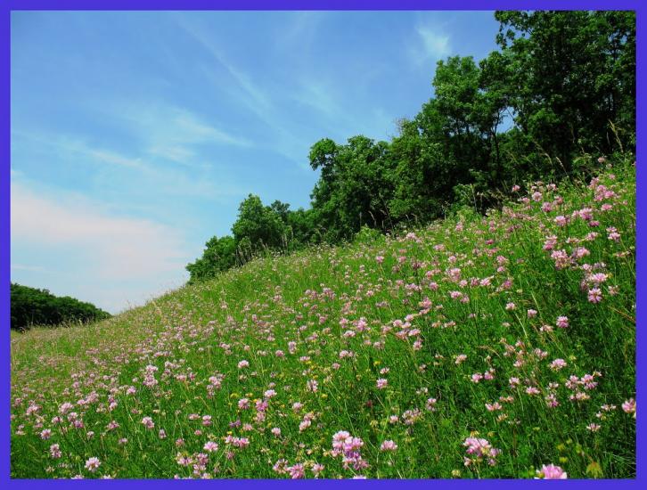 Букачівці з panoramio.com - Букачівці