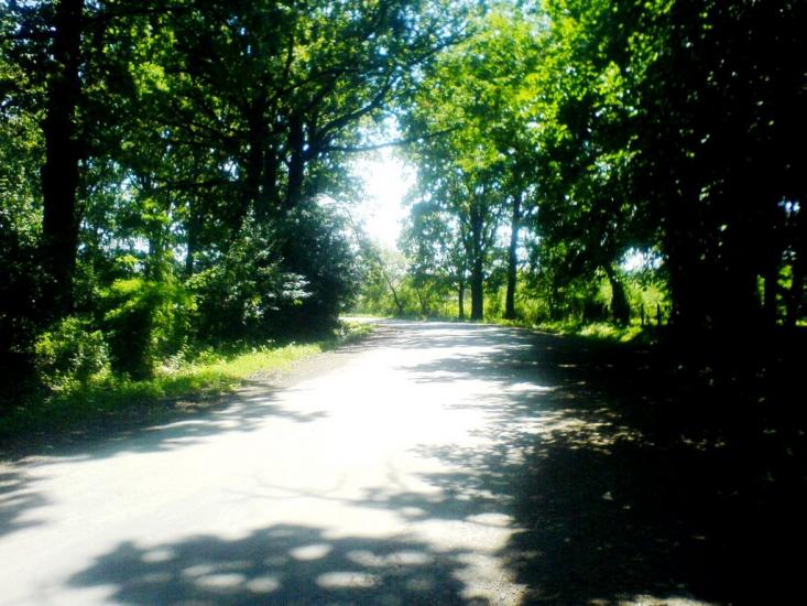 Вилок з panoramio.com - Вилок