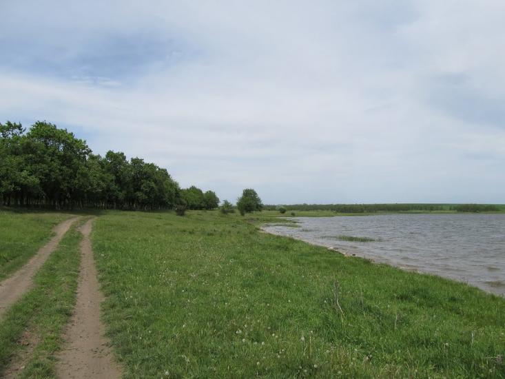 Макорти з panoramio.com - Макорти